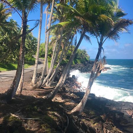 Pahoa Tropical Zen Bungalow מראה חיצוני תמונה